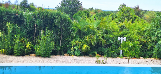 Casa B mit Pool und Meerblick, Porec Umgebung Istrien Tar